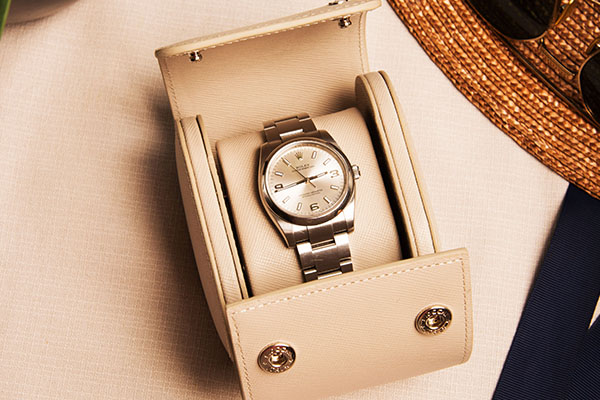 Case for 1 watch