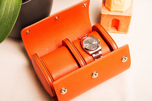 Case for 2 watches